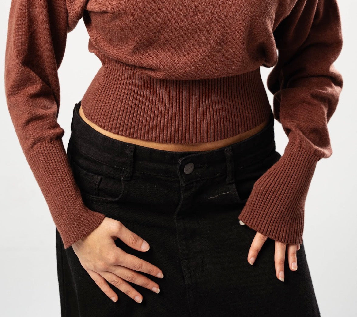 Brown Rosa Top
